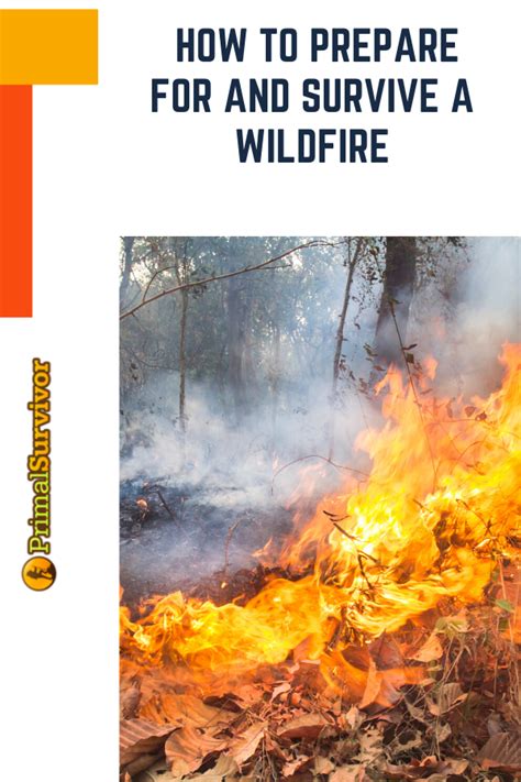 How To Prepare For And Survive A Wildfire Artofit