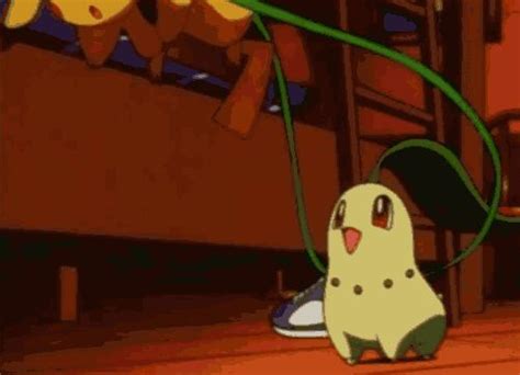 Chikorita Gif Find Share On Giphy Pokemon Pikachu Art Pokemon Memes