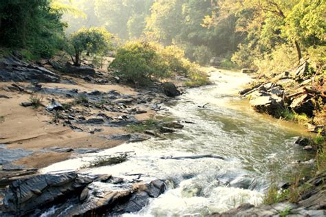 Traveller Tips To Dandeli Wildlife Sanctuary Karnataka Tourist