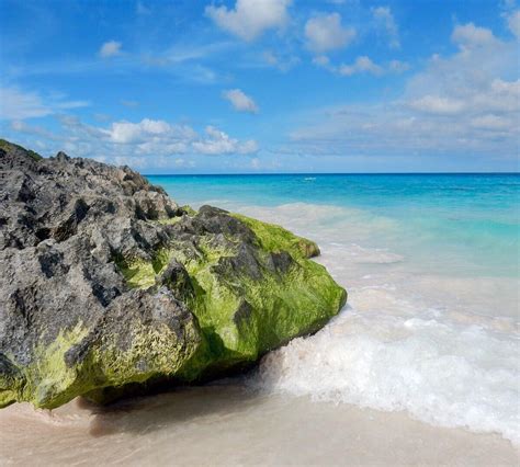 Elbow Beach Paget Parish Bermuda Anmeldelser Tripadvisor