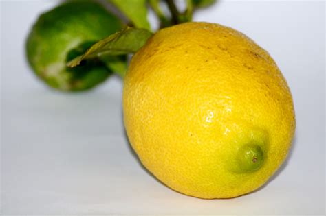 Free Images Fruit Food Produce Yellow Healthy Tangerine