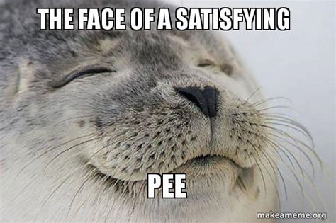 The Face Of A Satisfying Pee Satisfied Seal Make A Meme
