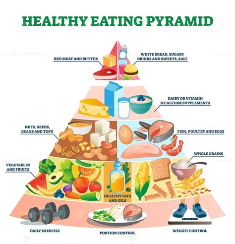 Healthy Eating Pyramid Vector Illustration VectorMine