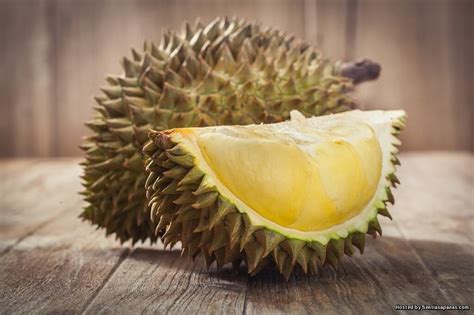 Salah satu durian yang terbaik di asia tenggara berasal dari negara tetangga terdekat indonesia. 11 Jenis Durian Paling Popular Di Malaysia - SENTIASA PANAS
