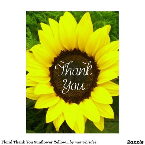 Floral Thank You Sunflower Yellow And Green Flowers Postcard