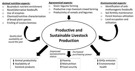 Agriculture Free Full Text Sustainable Livestock Production In