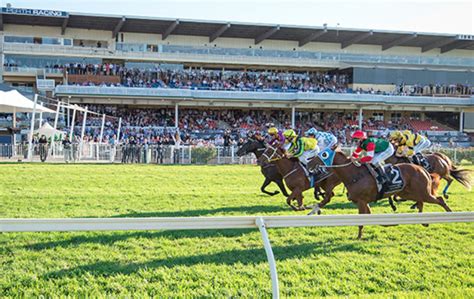 Wa Champion Fillies Stakes Day Tips And Bets Ascot Races 17112018