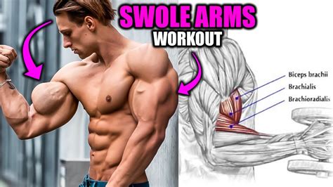 Swole Arms Workout ️ 7 Exercises Youtube