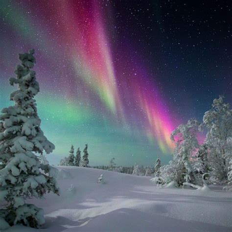 All Secrets Spectacular Northwest Territories Winter Photography