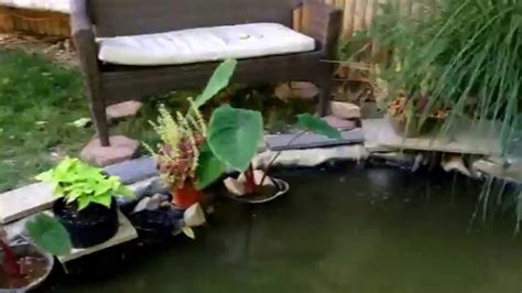 I've always wanted to make one of these, luckily, since i already had most of the materials, it didn't cost much at all. 1500 gallon koi pond - YouTube