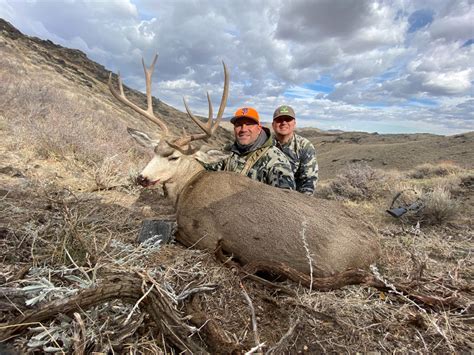 Wyoming Mule Deer Hunting And Whitetail Deer Hunting The Cross C Ranch Wyoming Outfitter