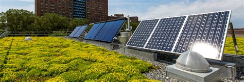 Solar On Green Roofs Is Best Option For Nycs Roofs Sustainable
