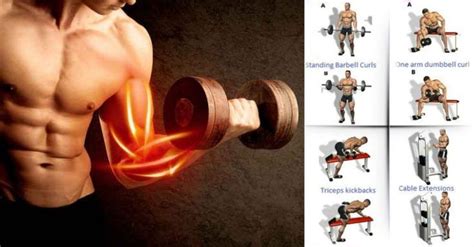 The Best Bulging Bigger Biceps Workout To Grow Your Arms Bicepsworkout
