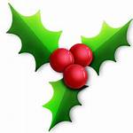 Holly Christmas Icon Clipart Clip Icons Vector