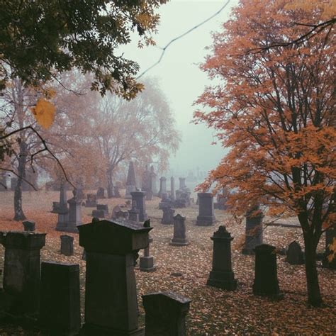 8tracks Radio Fall Into Autumn 15 Songs Free And Music Playlist