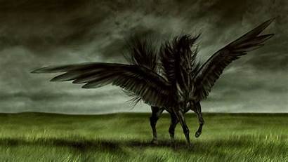 Angel Horse Wallpapers Awesome Laptop Angels Wallsev