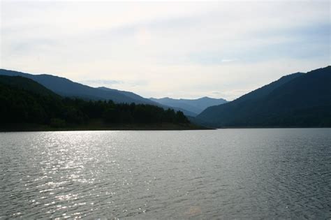 Maybe you would like to learn more about one of these? Rezervatia naturala Lacul Balatau