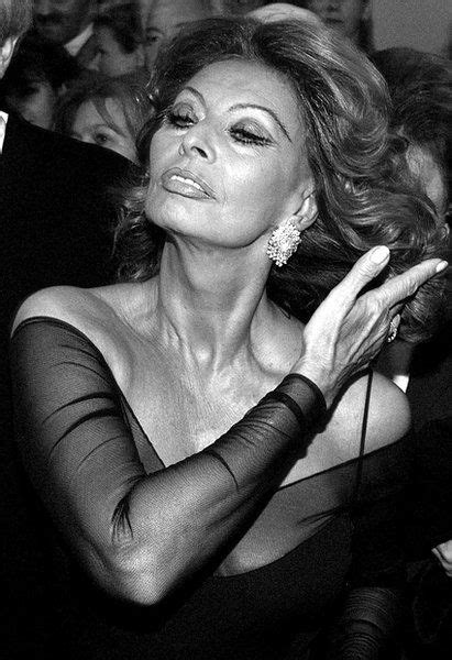 ~ Sofia Loren Sophia Loren Sophia Loren Images Sofia Loren