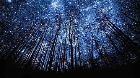 Hd Wallpaper Photo Of Starry Night Stars At Night Sky Dark Space