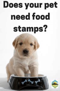 The site has all the details they need to make the transition. Does your pet need food stamps? 4 resources for pet care ...