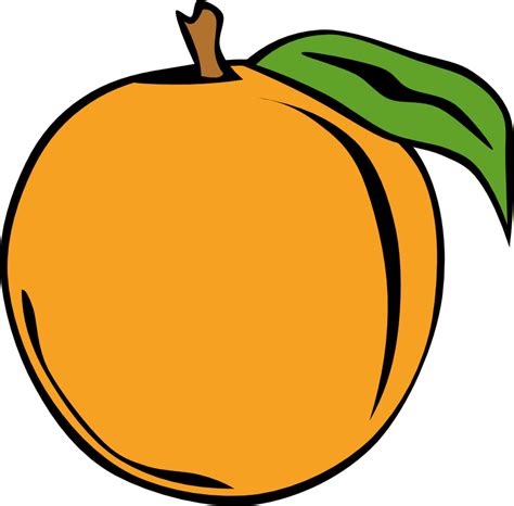 Cartoon Peaches Png 5 2 Peach Png Imagepng 1000×1000 복숭아 과일 그림