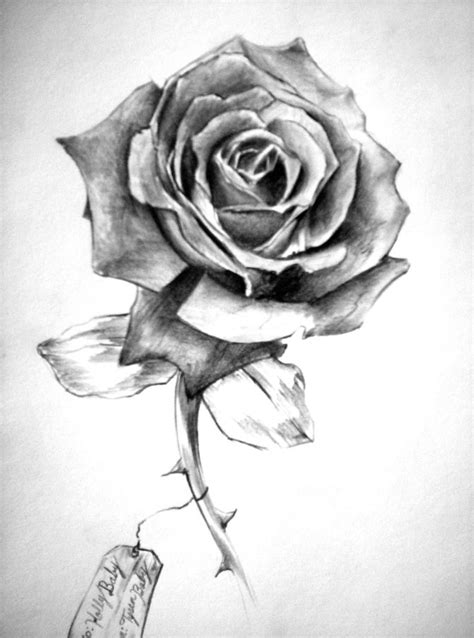 Rose Drawings Rose Custom Tattoo Designs Tysens Portfolio Free