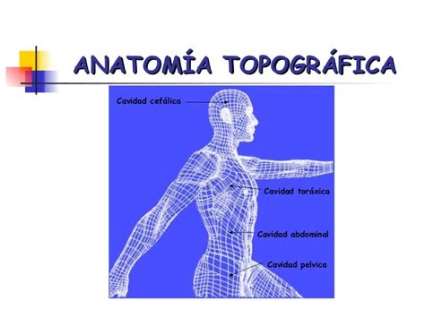 Anatomia Topografica Forense Aplicada A La Medicina Legal