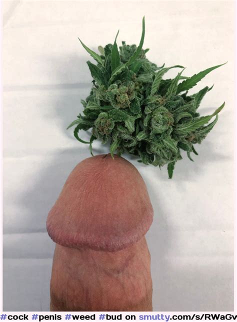 Cock Penis Weed Bud Mushroomhead Smutty