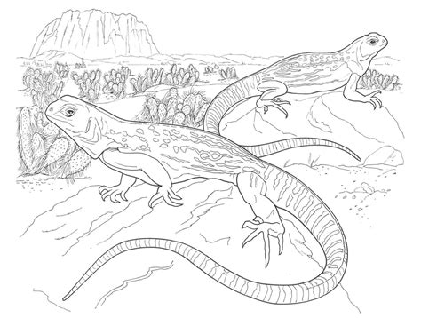 Kristen duke photography colorable bookmarks. Desert Coloring Page - Coloring Home