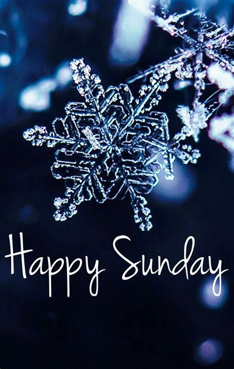 Have A Wonderful Winter Sunday Happy Sunday Quotes Sunday Greetings
