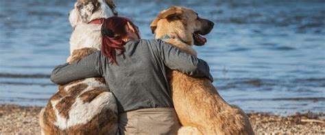 Discover the Most Pet-Friendly Neighborhoods in Bradenton, Florida