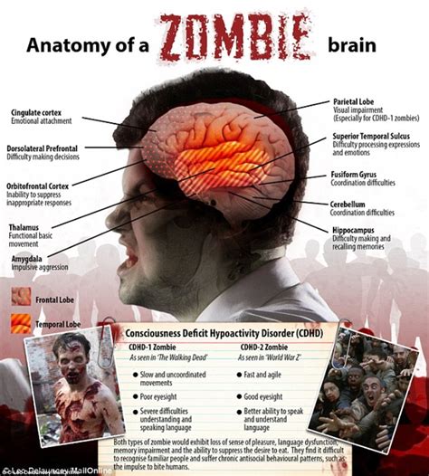 Research Paper Zombie World