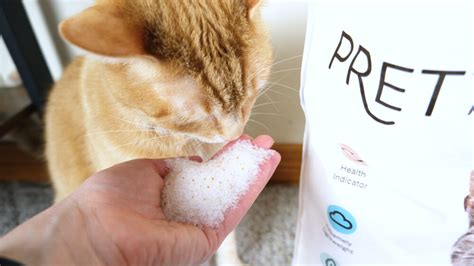 Pretty Litter Review Purchased And Tested Were All About Pets