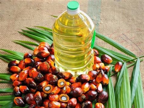 Palm oil is loaded with nutrients and is one of the few vegetable oils which are naturally saturated. 5 Amazing Palm Oil Benefits | Organic Facts