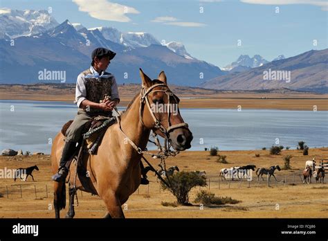 Young ´´gaucho´´ On Horseback Estancia Nibepo Aike On The Argentino