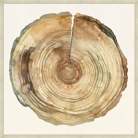 Shop wall décor and wall art at kohl's. Oversized Tree Rings 1 - Contemporary - Nature - Our ...