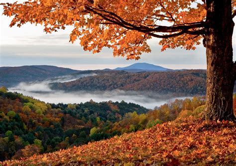 Woodstock Vt Larry Gloth New England Fall Foliage Fall Getaways