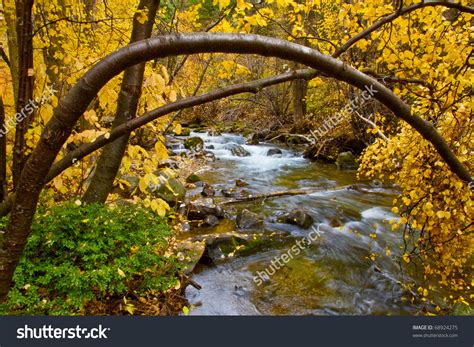 Autumn Trees On A Mountain River Clipart Clipground