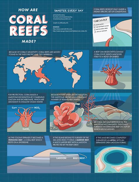 How Coral Reefs Are Formed Infographic Smartereveryday