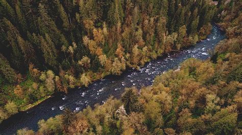 5k Free Download River Trees Forest Aerial View Landscape Hd