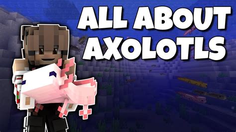 10 Things You Need To Know About Minecraft Axolotls Youtube