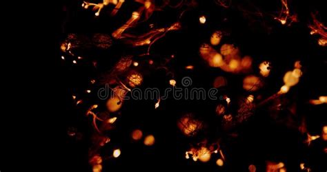 Steel Wool Burning Stock Photo Image Of Glow Dark 161168424