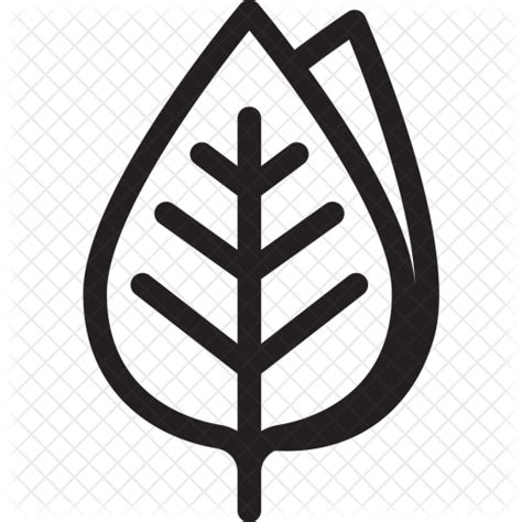 Leaf Icon 135596 Free Icons Library