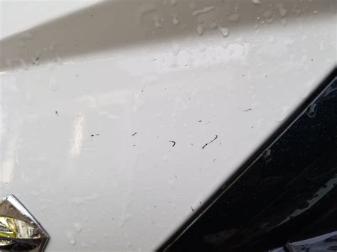 Black Specks On Paint Help Corvetteforum Chevrolet Corvette