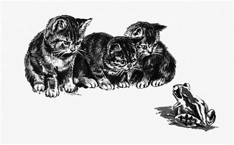 Cat Public Domain Images Free Cc0 Art Vintage Illustrations
