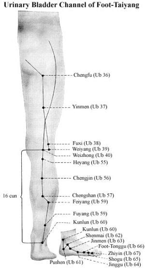 Chinese Acupuncture Wing Chun Kwoon Traditional Wing Chun Academy