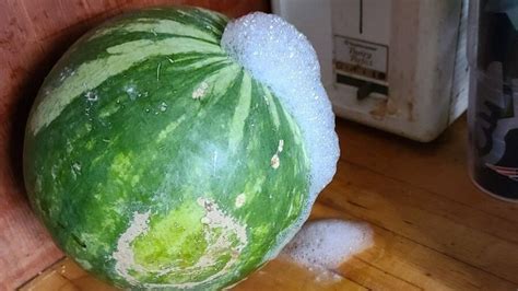 Toxic Foaming Watermelons Are Showing Up In Maine Wgme