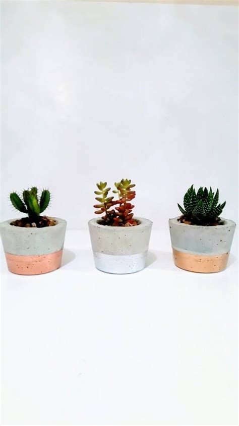Metallic Dipped Concrete Rustic Cactussucculent Planter By