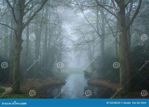 Mysterious Mood Stock Photo Image Of Moody Foggy Nature 53538220
