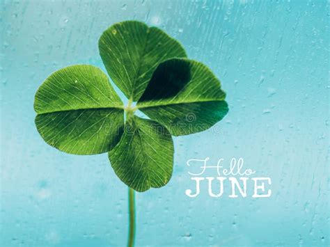 Hello June Inspirational Motivation Quote Stock Image Image Of
